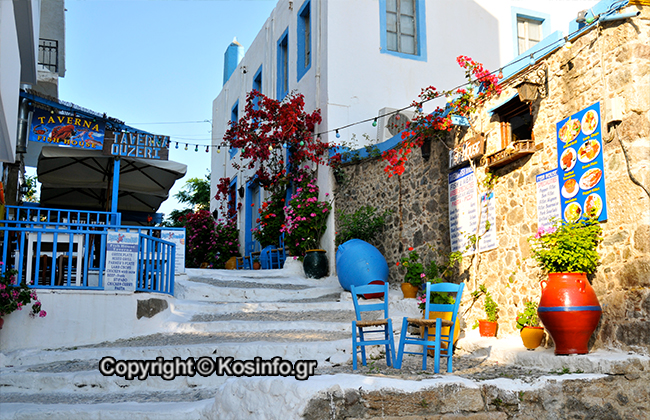 fish-house-02.jpg