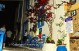 fish-house-06.jpg