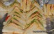 food-stop-6.jpg