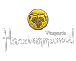 CHATZIEMMANOUIL VASILIOS